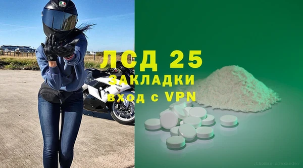 прущие грибы Магас