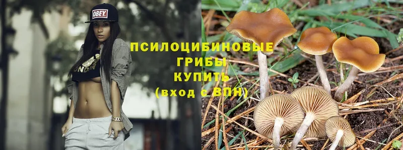 Псилоцибиновые грибы Magic Shrooms  Верхоянск 