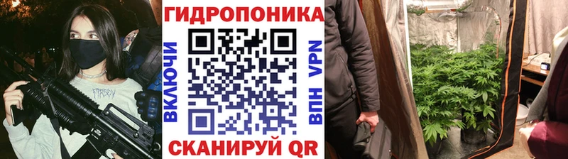 Бошки Шишки планчик Верхоянск